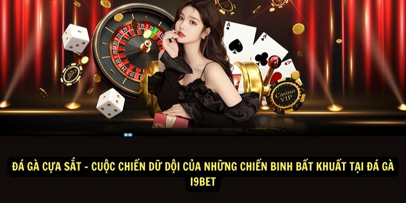 Đá gà cựa sắt - Cuộc chiến dữ dội của những chiến binh bất khuất tại đá gà i9bet